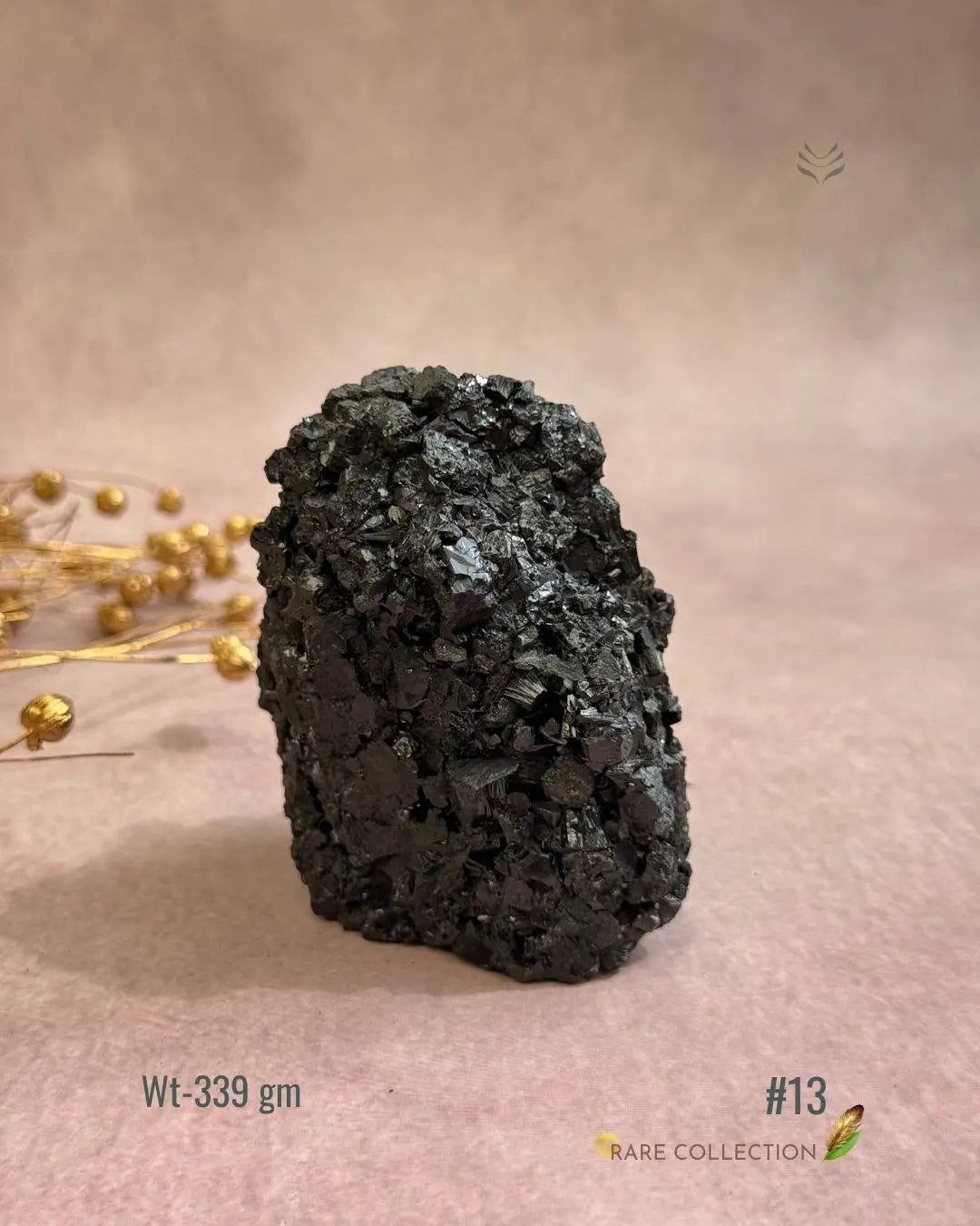 Lightcoded Karmic Wealth Protector Tourmaline 