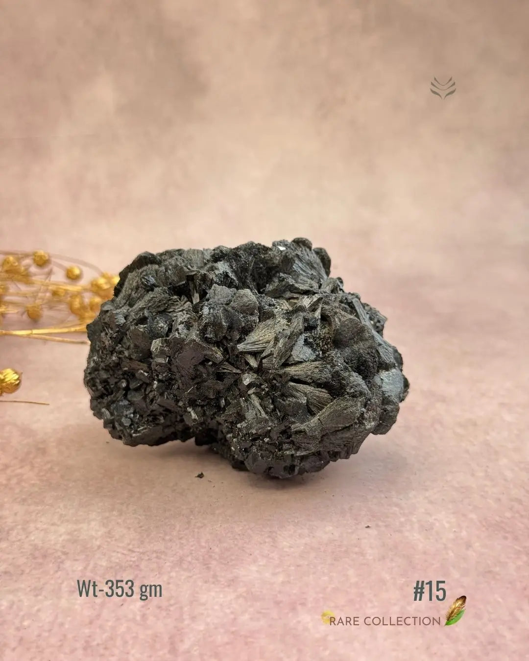 Lightcoded Karmic Wealth Protector Tourmaline 