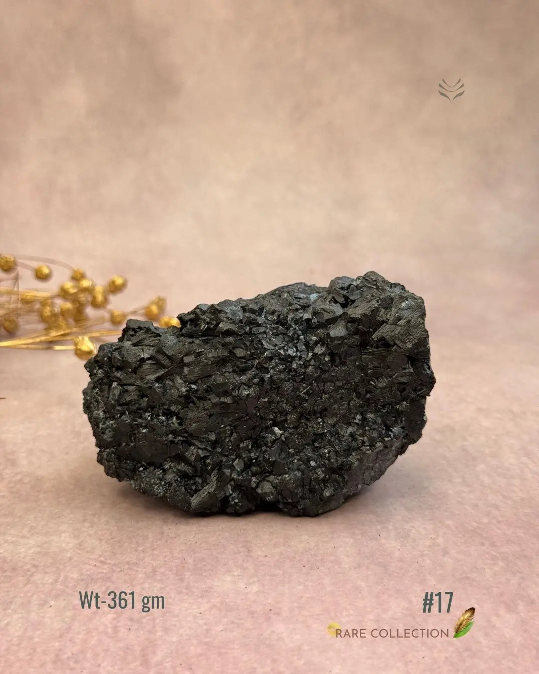 Lightcoded Karmic Wealth Protector Tourmaline 