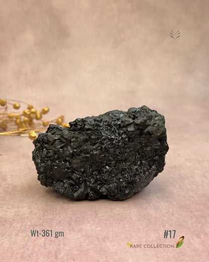 Lightcoded Karmic Wealth Protector Tourmaline 