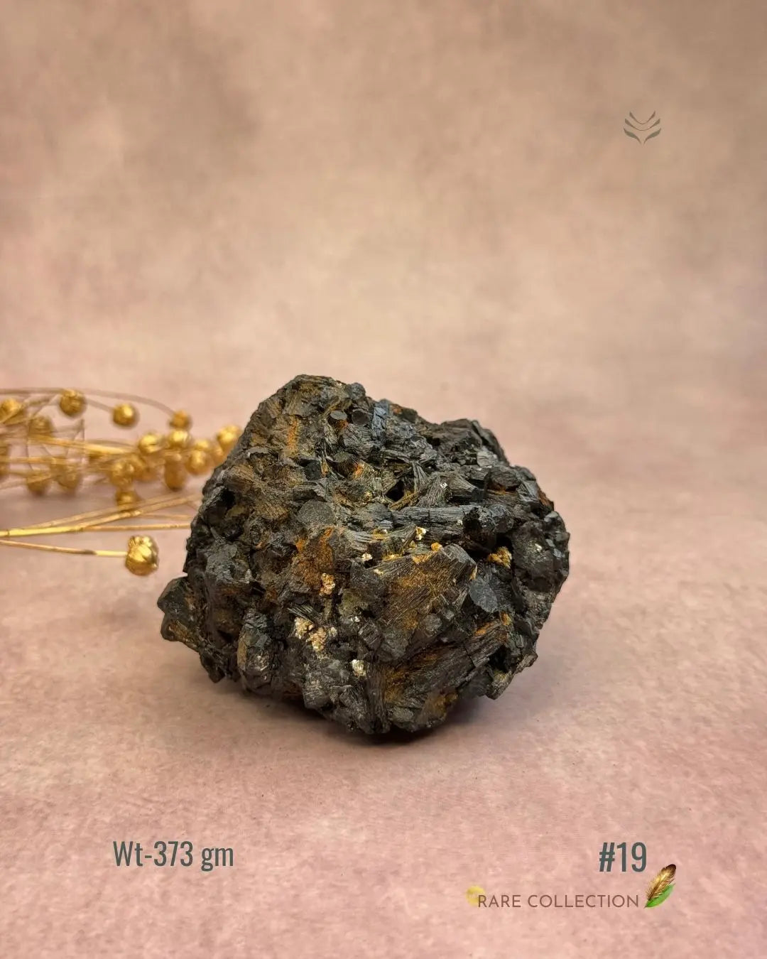 Lightcoded Karmic Wealth Protector Tourmaline 