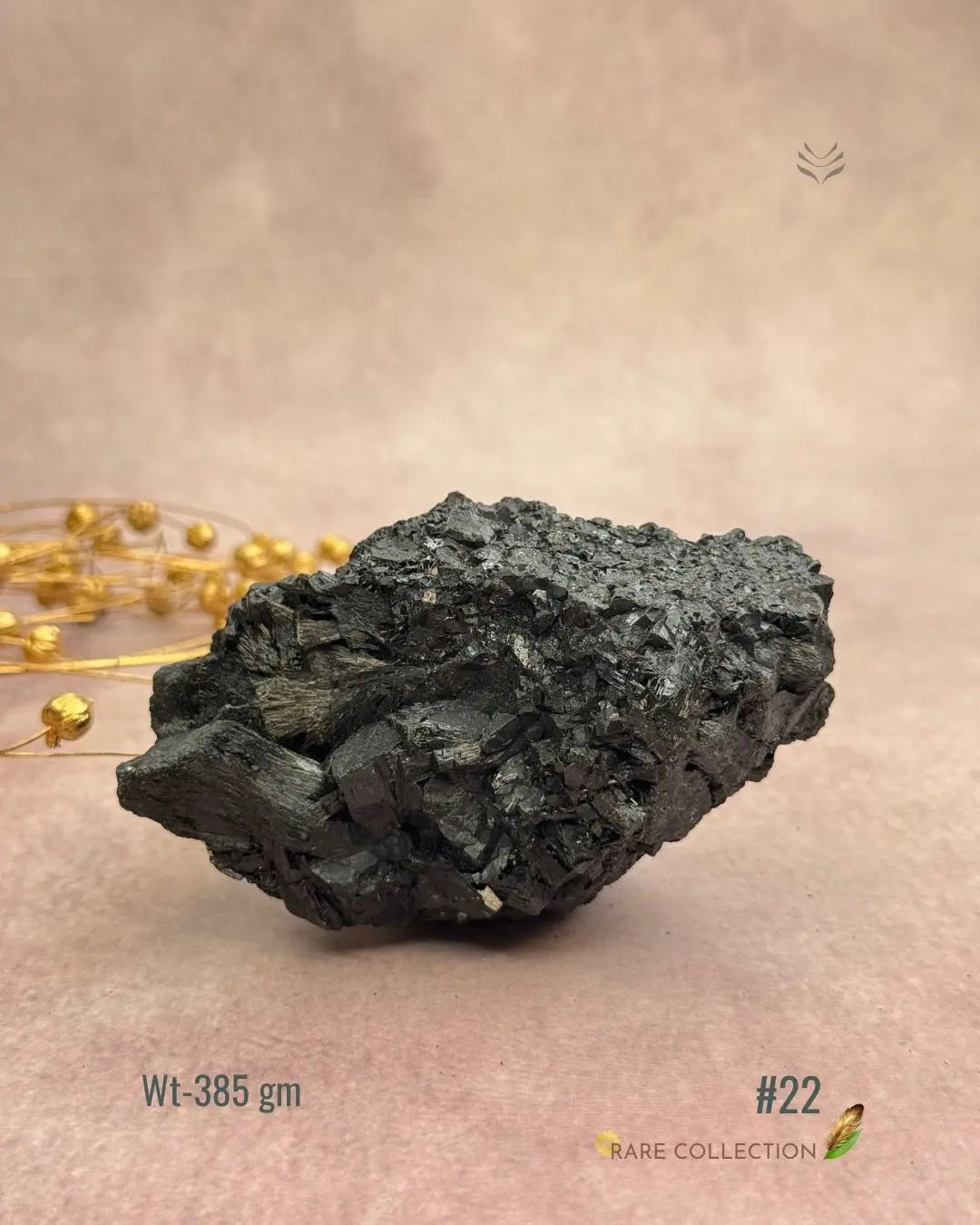 Lightcoded Karmic Wealth Protector Tourmaline 