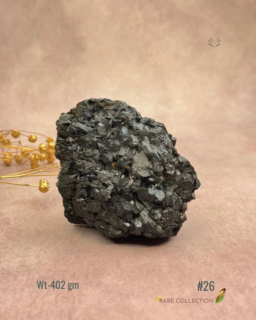 Lightcoded Karmic Wealth Protector Tourmaline 