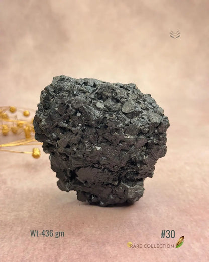 Lightcoded Karmic Wealth Protector Tourmaline 