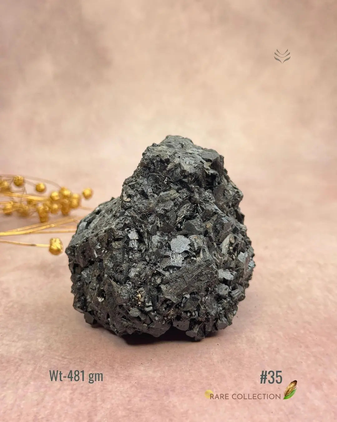 Lightcoded Karmic Wealth Protector Tourmaline 