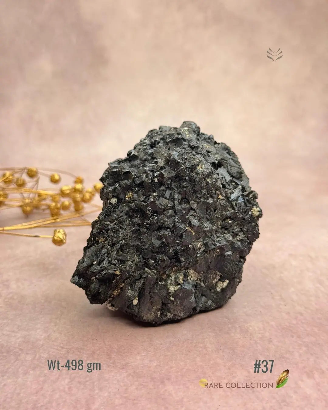 Lightcoded Karmic Wealth Protector Tourmaline 