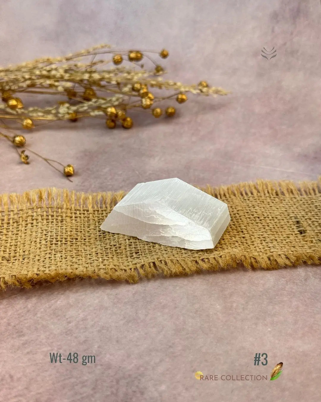 Lightcoded Magnify Wealth Goals Selenite 