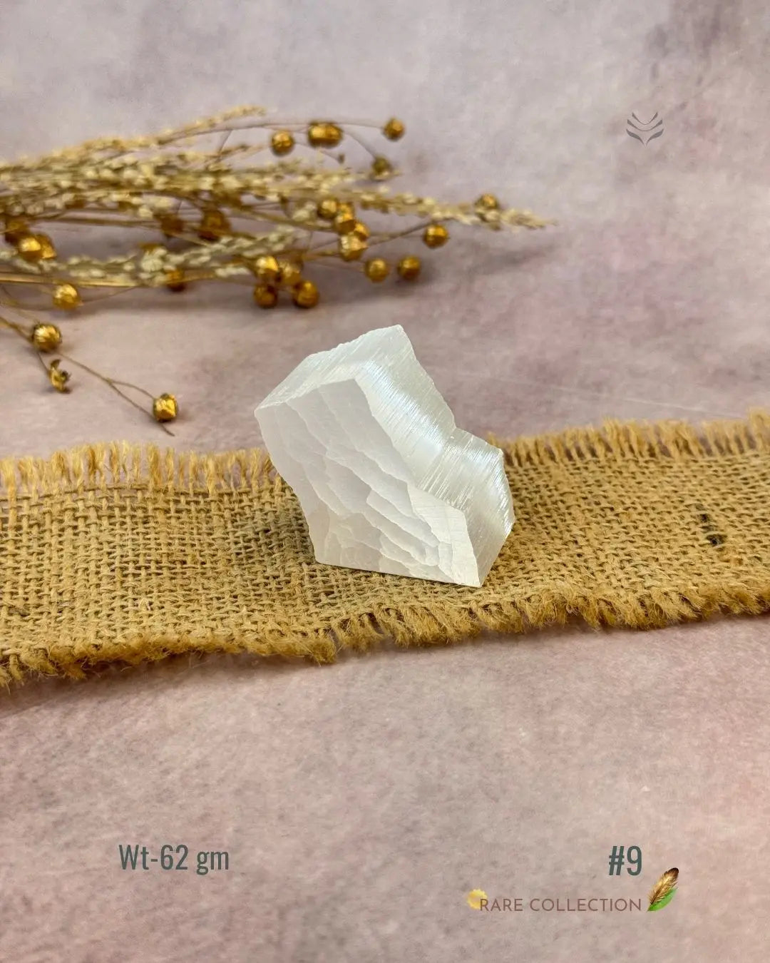 Lightcoded Magnify Wealth Goals Selenite 