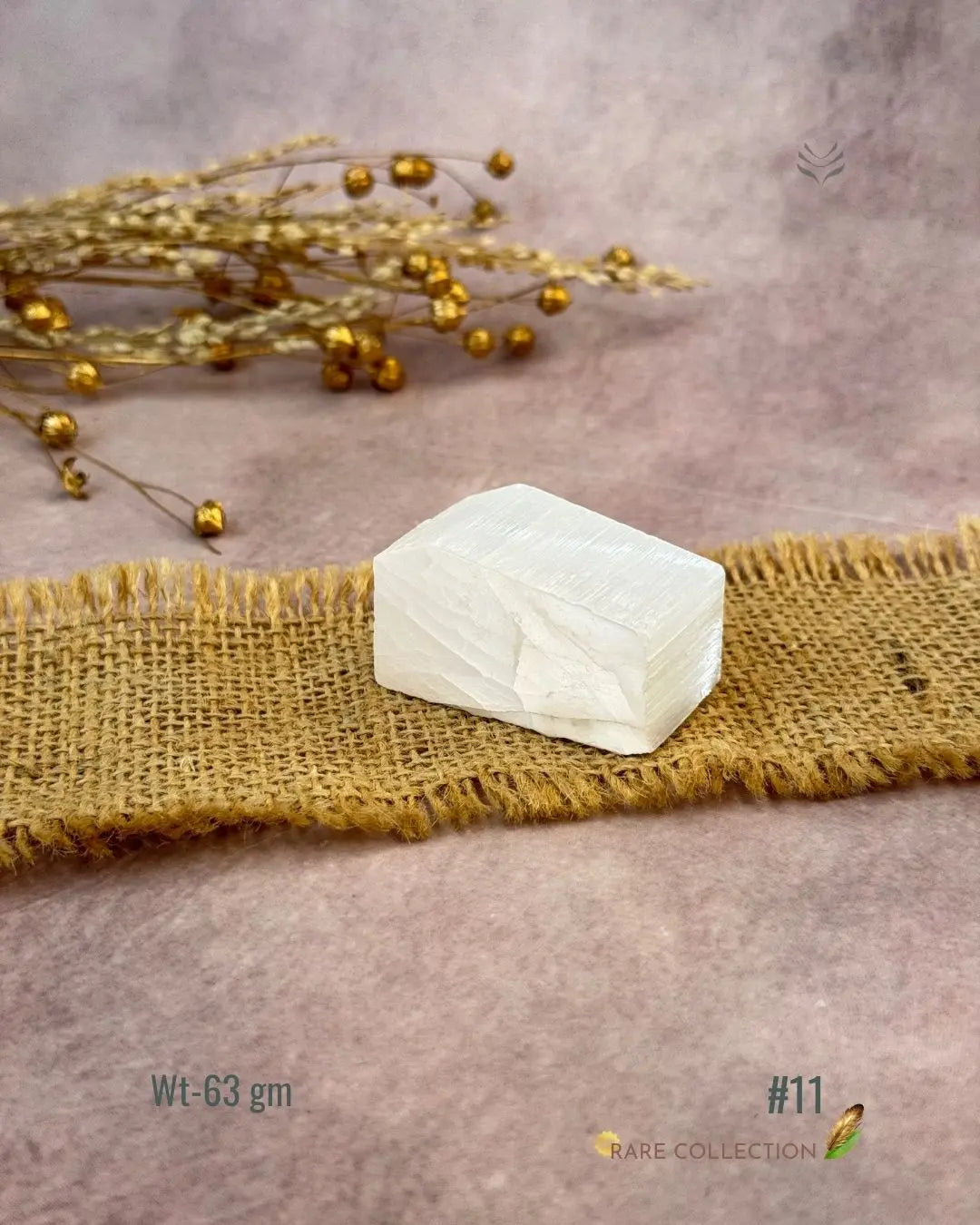 Lightcoded Magnify Wealth Goals Selenite 