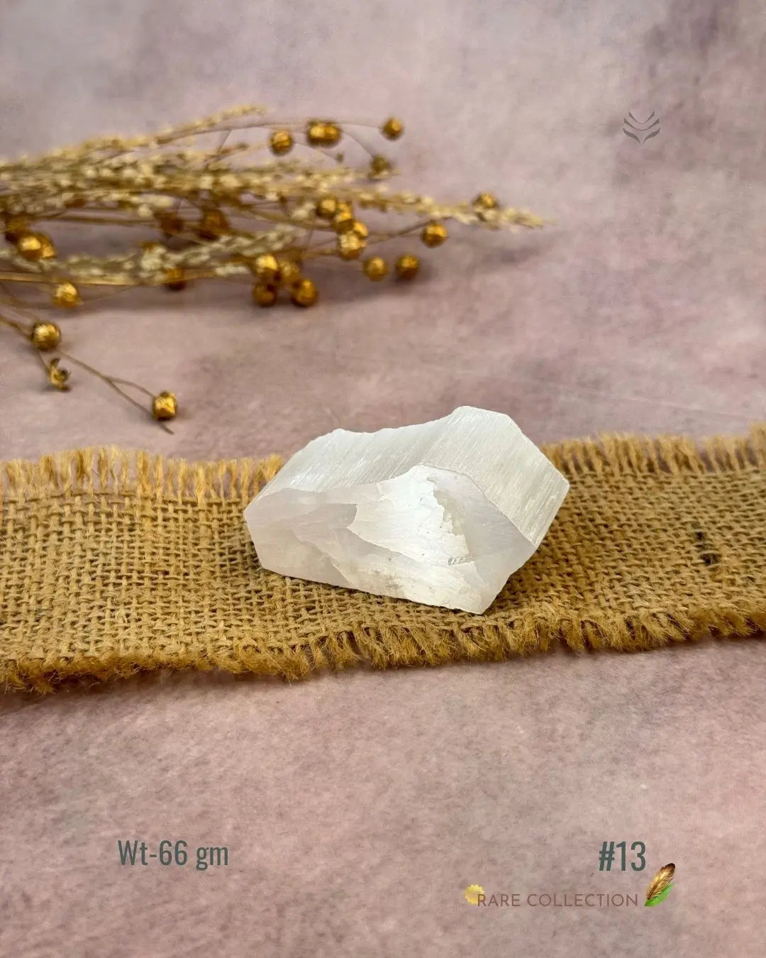Lightcoded Magnify Wealth Goals Selenite 