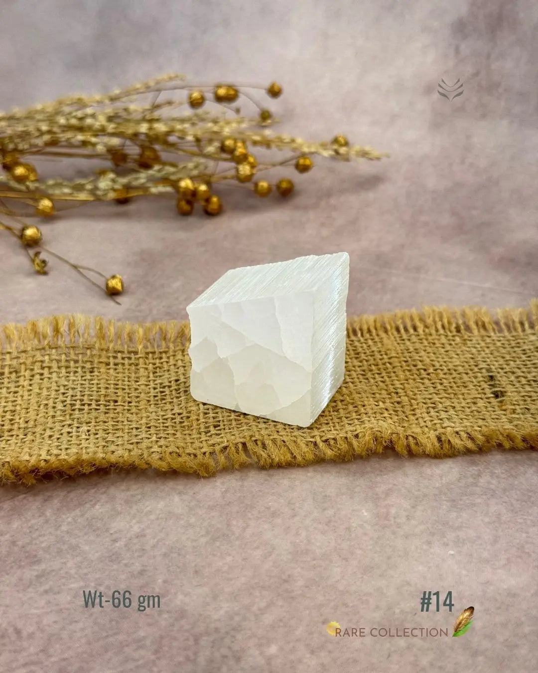 Lightcoded Magnify Wealth Goals Selenite 