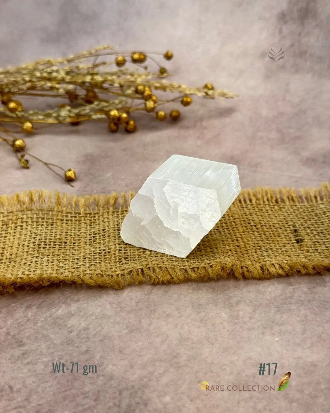 Lightcoded Magnify Wealth Goals Selenite 