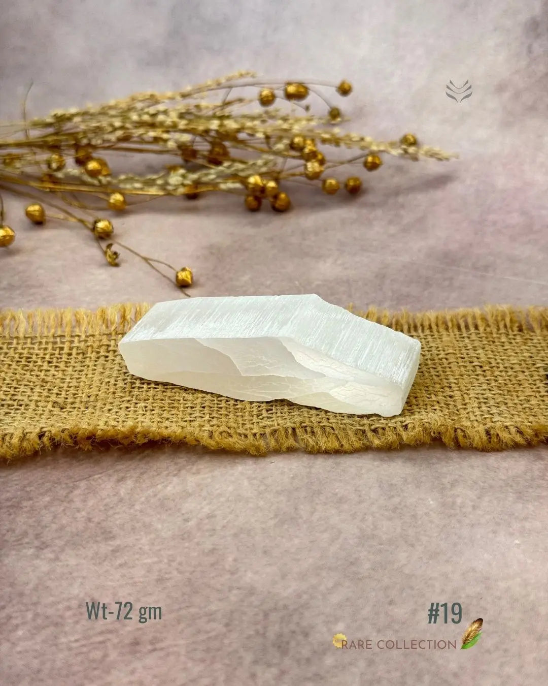 Lightcoded Magnify Wealth Goals Selenite 