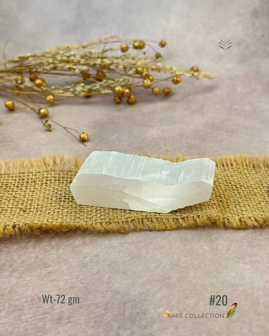 Lightcoded Magnify Wealth Goals Selenite 