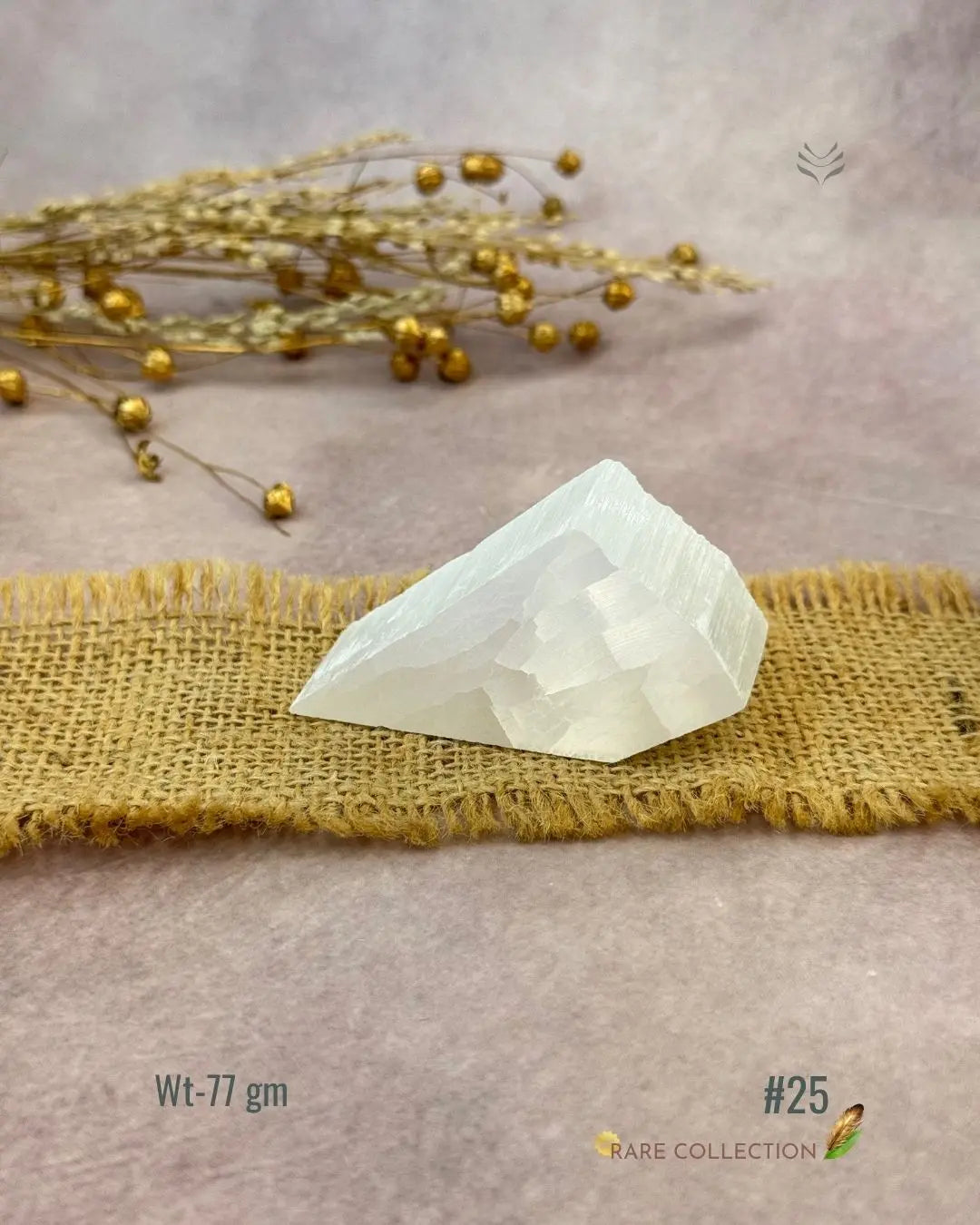 Lightcoded Magnify Wealth Goals Selenite 