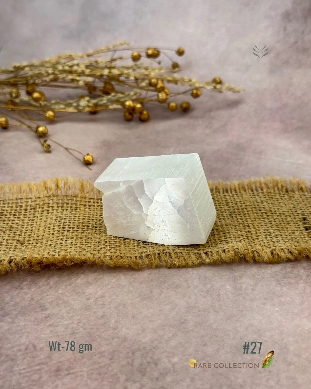 Lightcoded Magnify Wealth Goals Selenite 