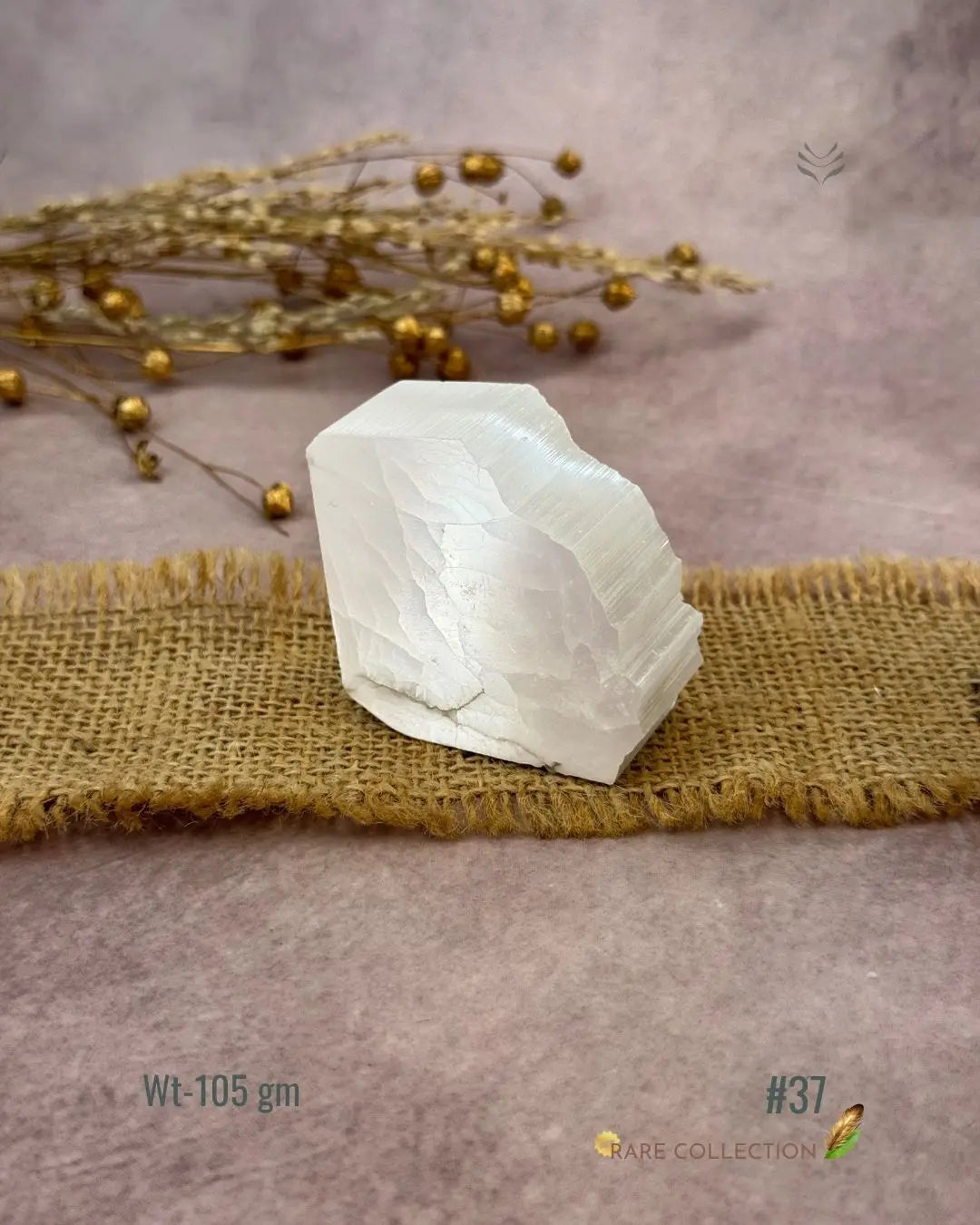 Lightcoded Magnify Wealth Goals Selenite 