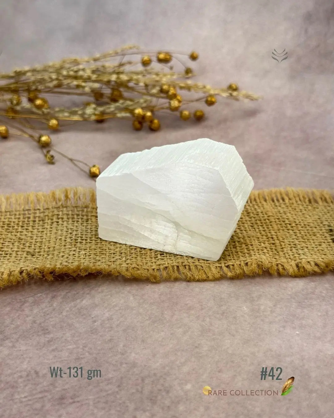 Lightcoded Magnify Wealth Goals Selenite 