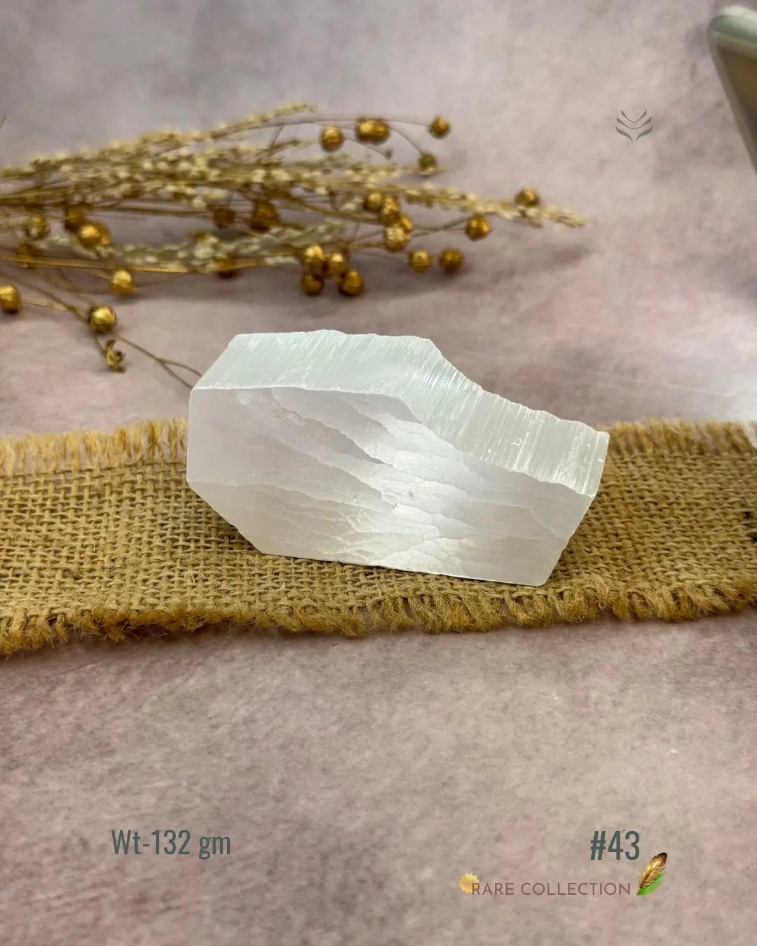 Lightcoded Magnify Wealth Goals Selenite 