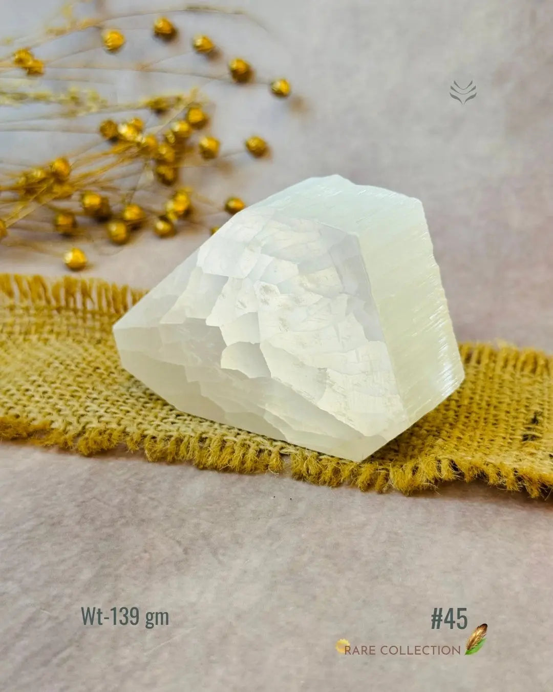 Lightcoded Magnify Wealth Goals Selenite 