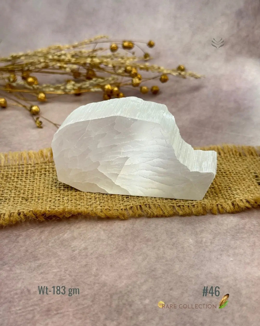 Lightcoded Magnify Wealth Goals Selenite 