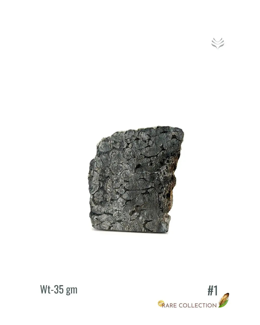 Lightcoded Marcasite 