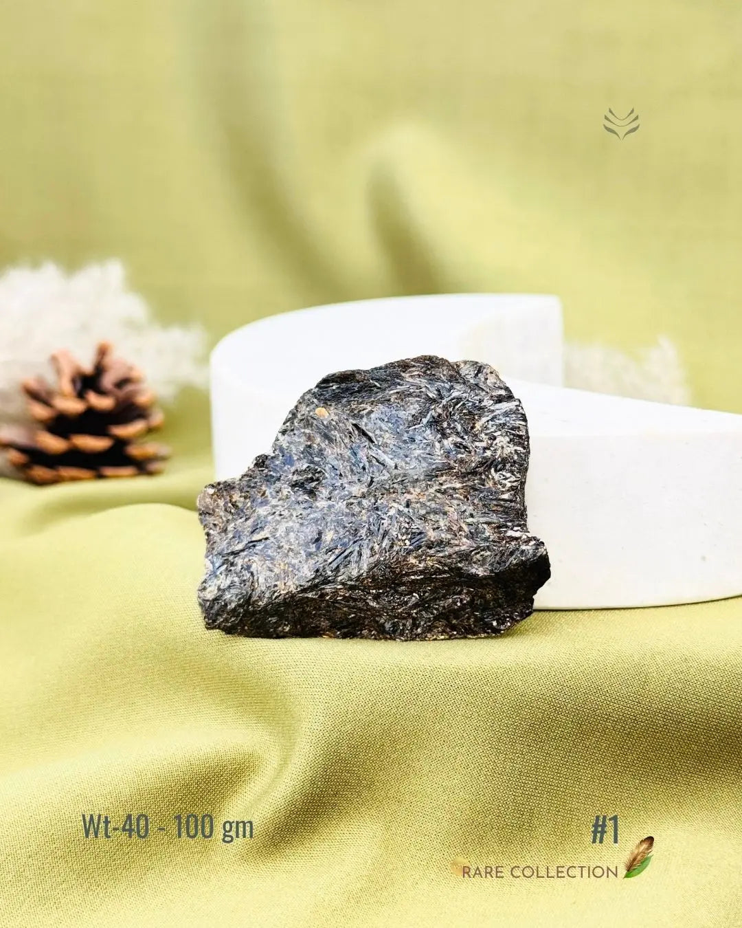 Lightcoded Mini Magick Astrophyllite 