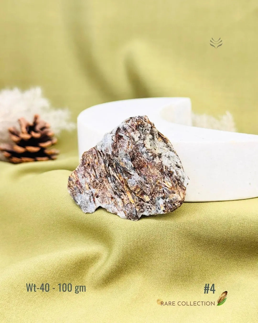 Lightcoded Mini Magick Astrophyllite 