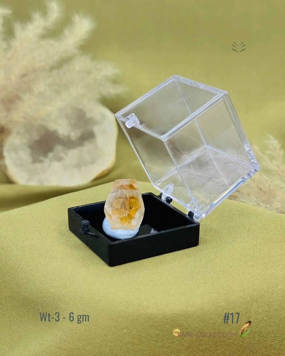 Lightcoded Mini Magick Madagascar Citrine 