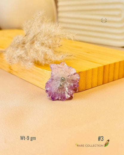 Lightcoded Top the Fame - Stalactite 