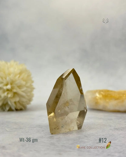 Lightcoded Ultra Premium Citrine Points 