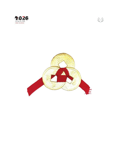 LUCKY CHINESE COINS