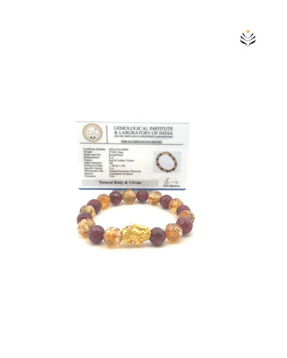 Luxury Blockage Remover Mixel 