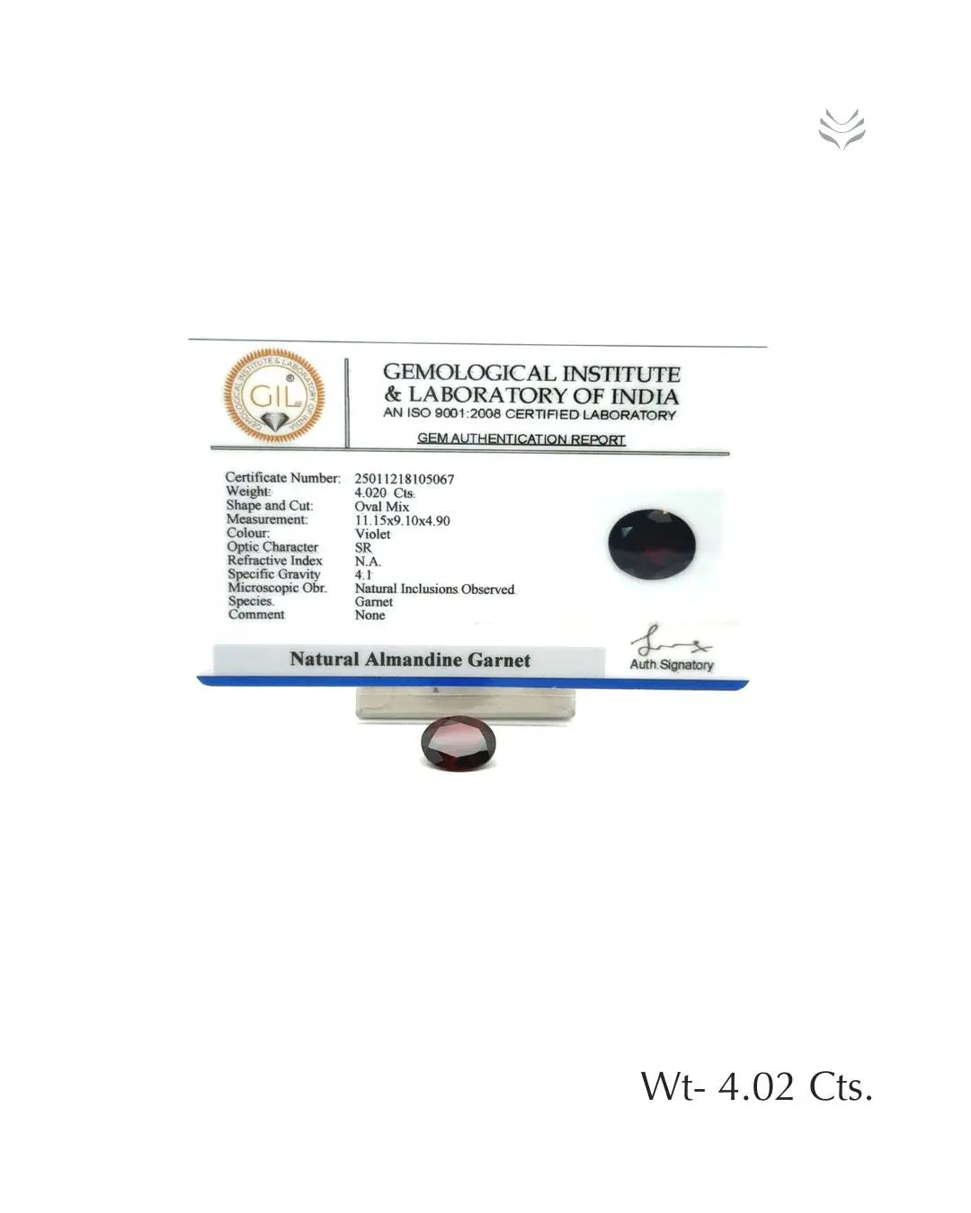 Mozambique Garnet - 4.02 Ct 