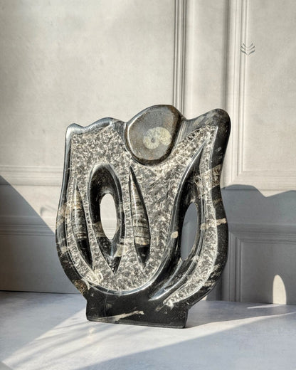 Multiply Money Fossil 