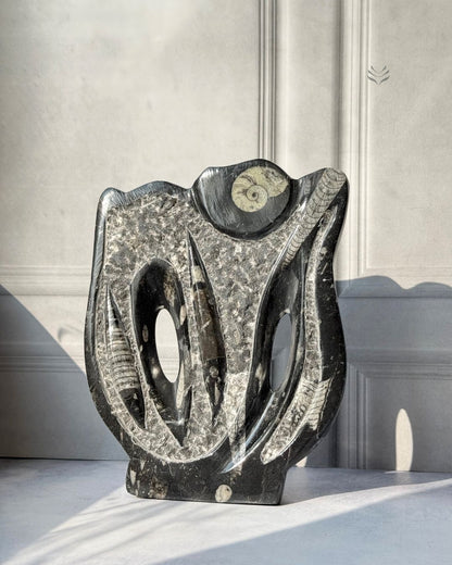 Multiply Money Fossil 