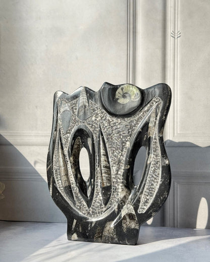 Multiply Money Fossil 