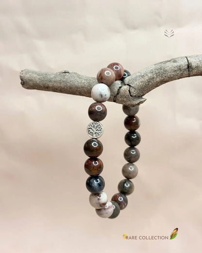 Ancestral Healer Petrified Wood Bracelet