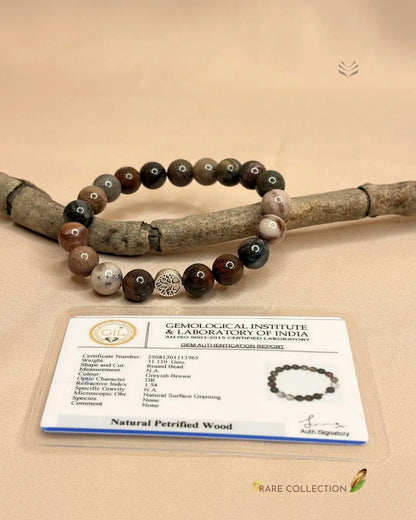 Ancestral Healer Petrified Wood Bracelet
