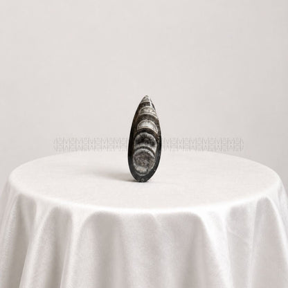 Orthoceras - The Kuber Stone (Big)  Crystal Tumbles