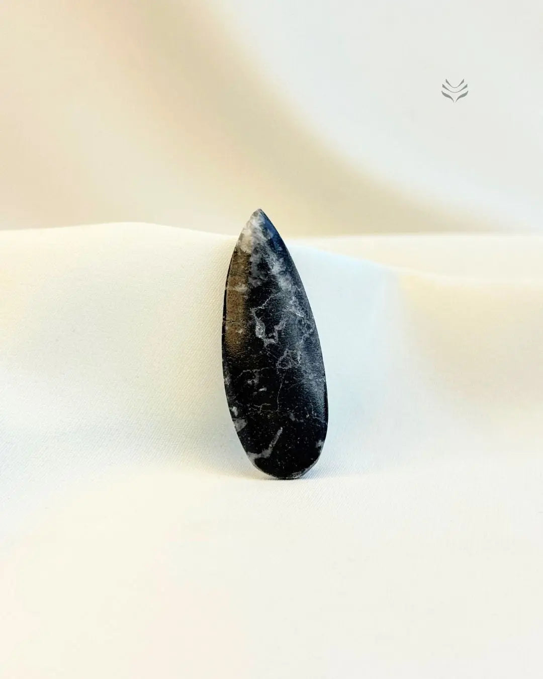 Orthoceras: The Kuber Stone (Small) 