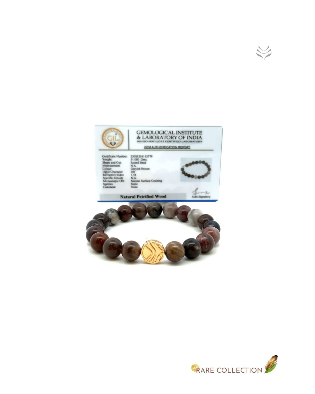 Ancestral Healer Petrified Wood Bracelet 