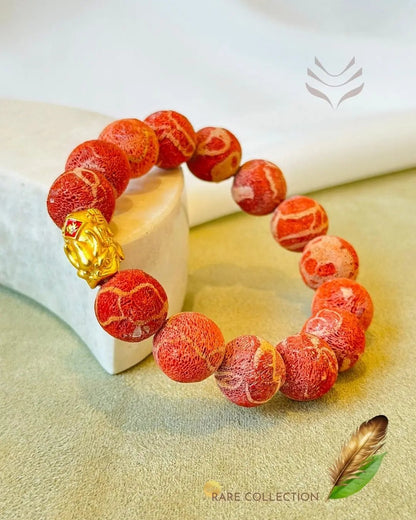 Elegant Raw Coral Bead Bracelet on display