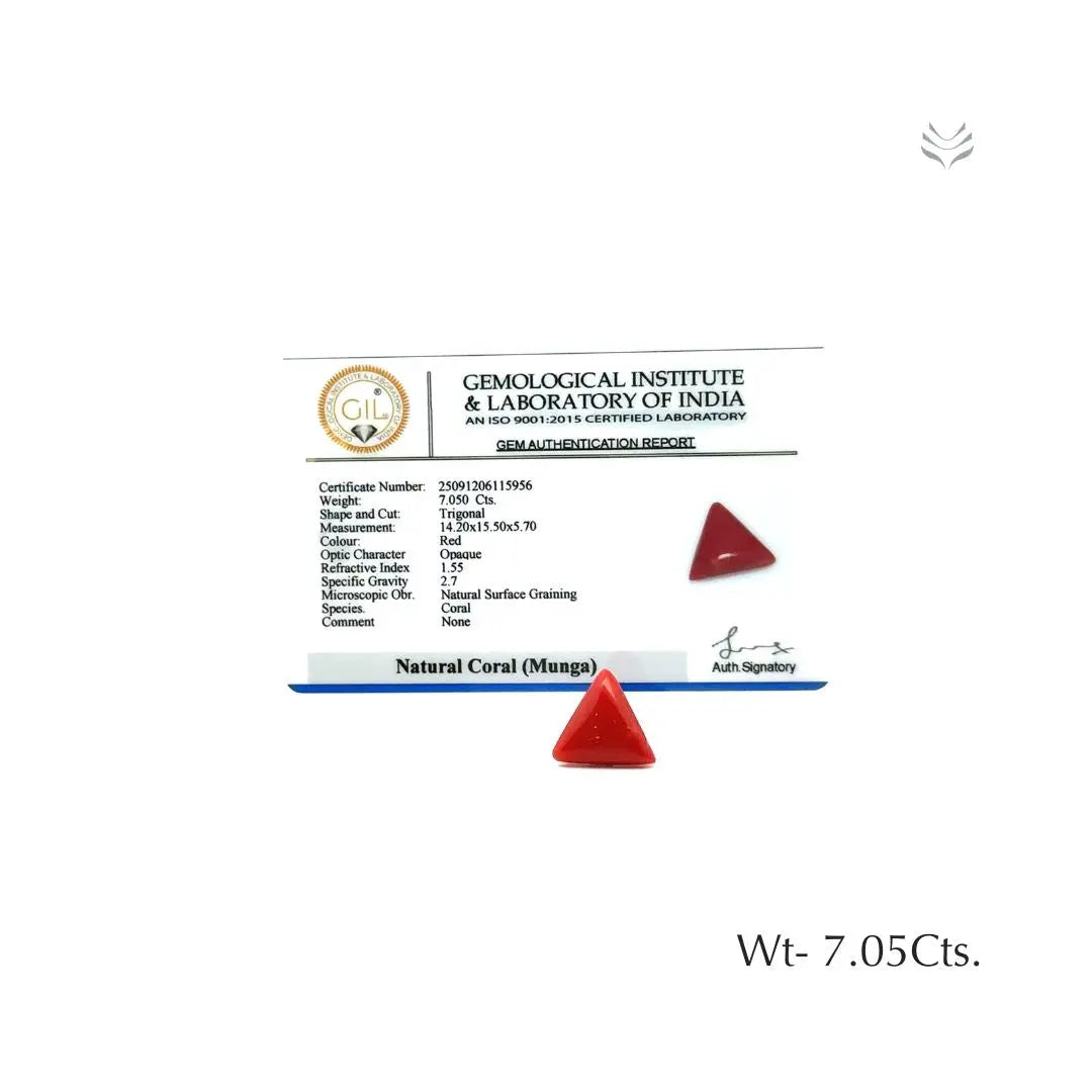 Red Coral - 7.05 CT  Gemstones