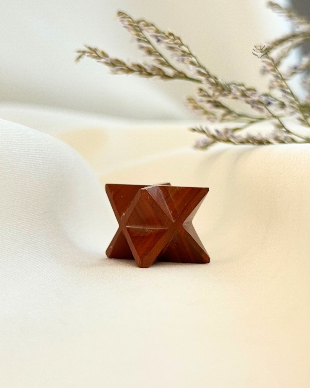 Transport of God Merkaba - Red Jasper 