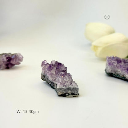 Calm In Your Palm Amethyst Cluster