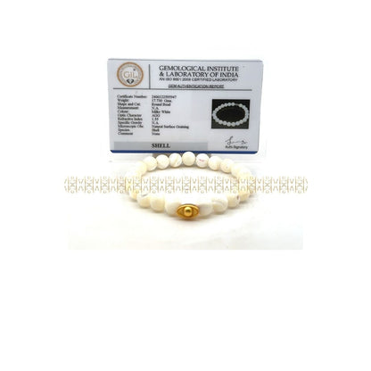 Trochus Shell Bracelet 