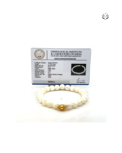 Trochus Shell Bracelet 