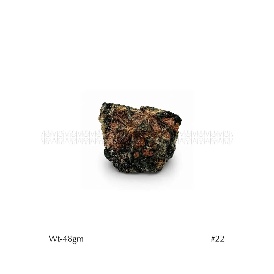 Soul Mission Lamprophyllite 