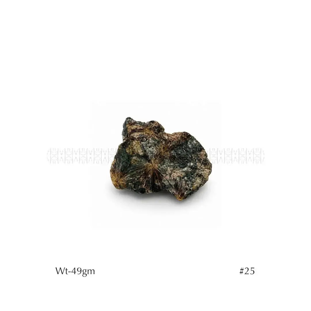 Soul Mission Lamprophyllite 